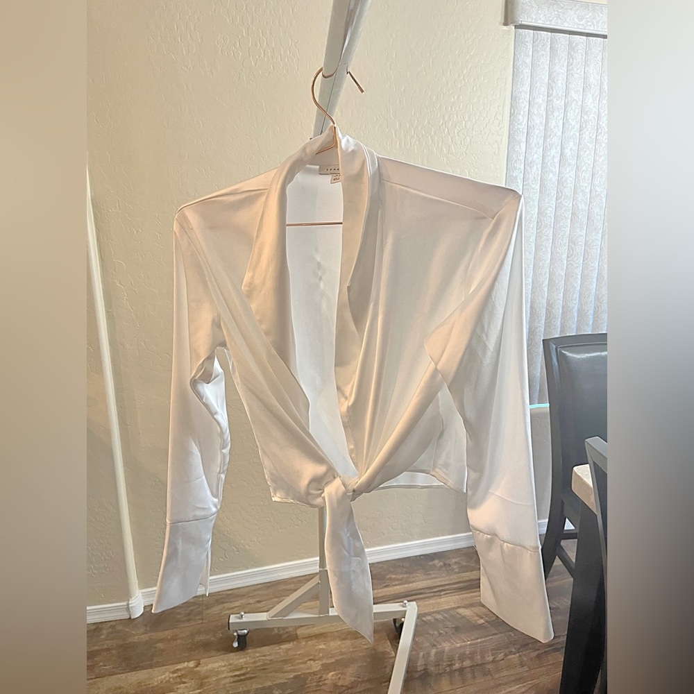 TopShop silk blouse